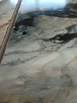 imissyoumylove14 online show from February 2026 08:40:02 AM