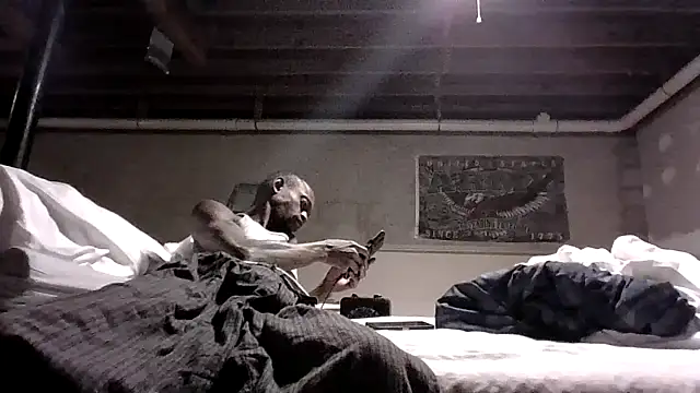 Snapshot of KinGKane84 chatting on December 2024 06:44:01 AM KinGKane84 online show from December 2024 06:44:01 AM