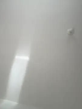 Morguisssz online show from November 2025 10:37:02 AM