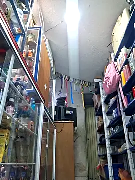 nidia2026 online show from November 2025 03:34:02 PM