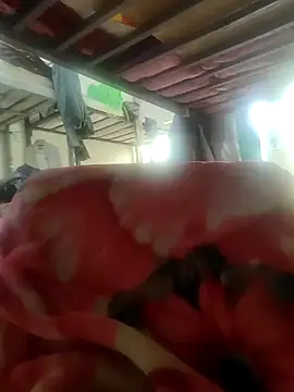 shale26 online show from December 2024 08:32:02 AM