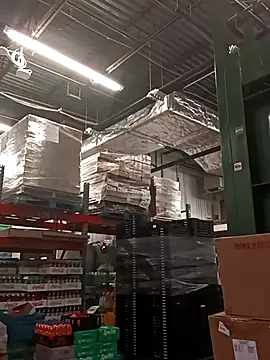 kobrashekyng online show from September 2025 09:36:02 AM