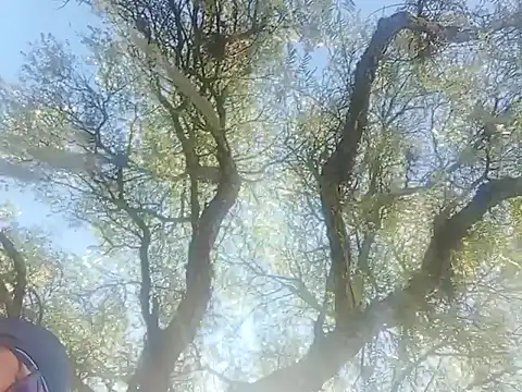 Darly Gomez online show from December 2024 03:22:02 PM