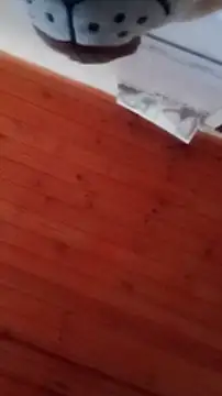 Darly Gomez online show from December 2024 04:46:02 PM