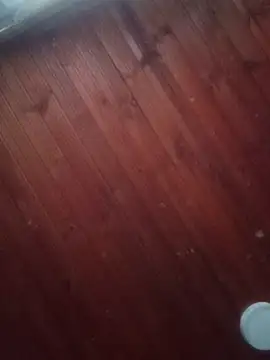 Darly Gomez online show from March 2025 10:10:01 PM