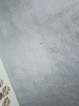 Darly Gomez online show from January 2026 08:07:01 PM