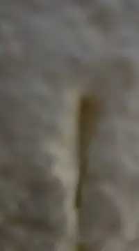 tuty Tap online show from December 2024 05:31:01 PM