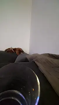 houy111111 online show from October 2025 10:20:02 PM