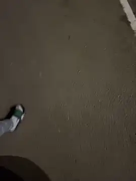 Lahcene online show from November 2025 06:29:01 PM