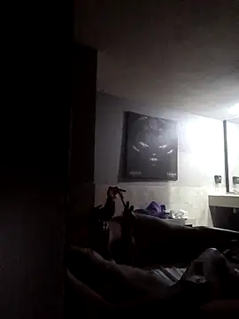 SiperoXxX online show from November 2025 09:19:01 AM