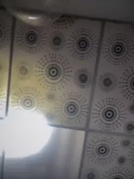 adam-rivera online show from October 2025 05:08:01 PM