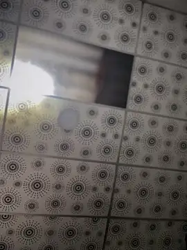 adam-rivera online show from October 2025 05:35:02 PM