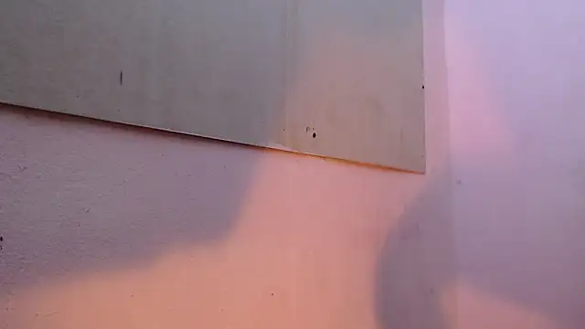 Snapshot of mr_stiven_ chatting on March 2025 02:16:01 AM mr stiven  online show from March 2025 02:16:01 AM