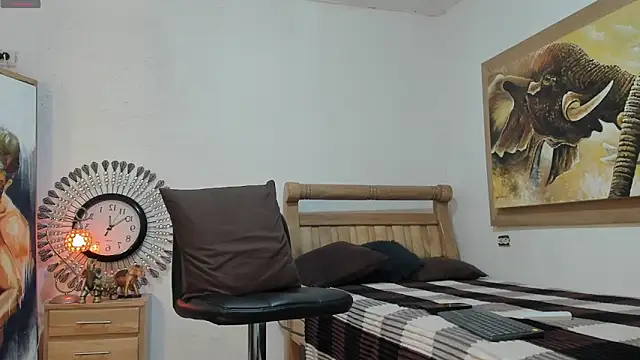 mr stiven  online show from May 2026 03:15:01 AM