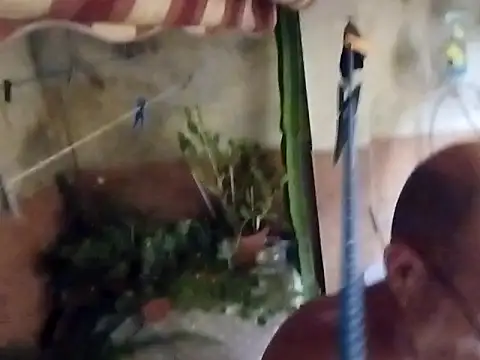 soy 5 online show from September 2025 08:53:02 PM