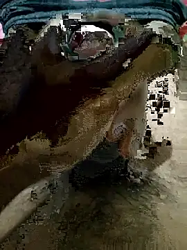 kamesh telugu online show from November 2025 05:57:01 PM