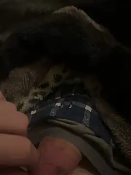 hamoo23p online show from February 2026 02:45:01 AM