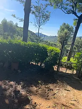 Hillz king 98 online show from February 2025 03:54:02 AM