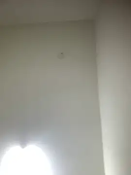Snapshot of bidex002 chatting on May 2026 11:45:02 PM bidex002 online show from May 2026 11:45:02 PM