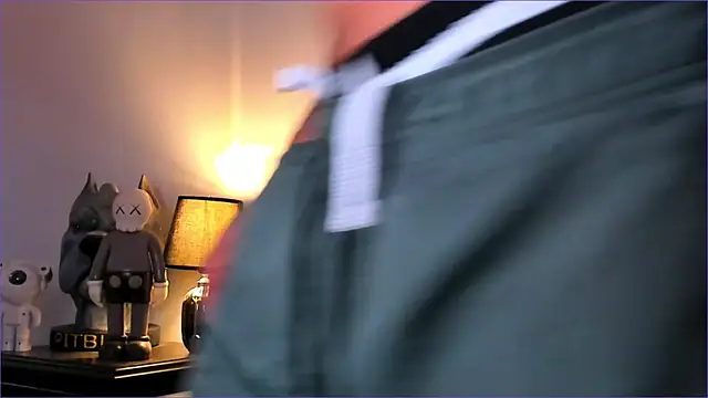 BradLeon  online show from November 2025 09:36:01 PM