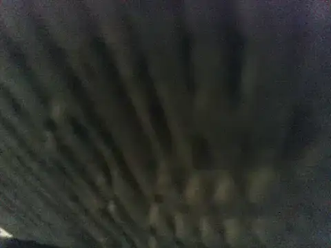 party51502 online show from March 2025 07:20:02 PM