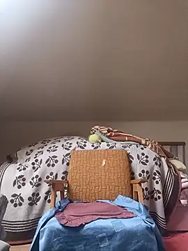 danitomii online show from March 2026 06:25:01 AM