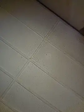 zaneporter46 online show from October 2025 09:05:02 PM