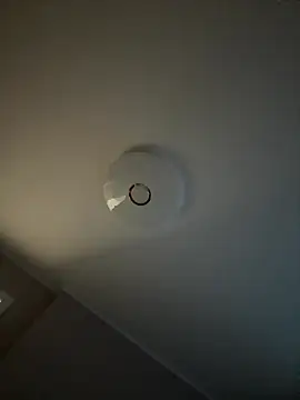 AndreaMood online show from October 2025 12:31:01 AM