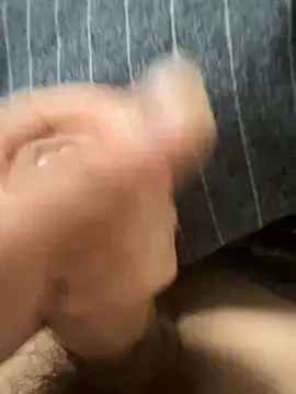 toto3119 online show from February 2025 02:49:01 PM