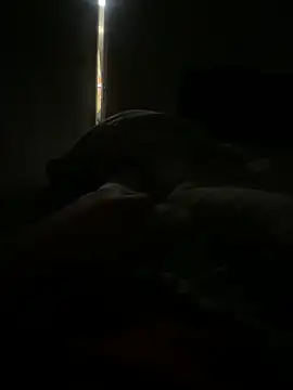 scottttyysc online show from January 2025 11:17:01 PM