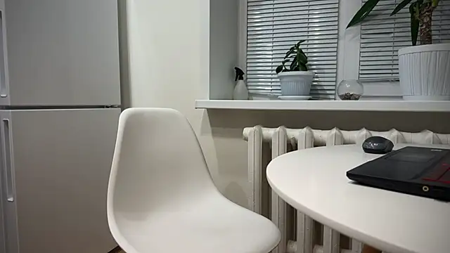 BrendanSilvers online show from December 2024 11:20:02 PM