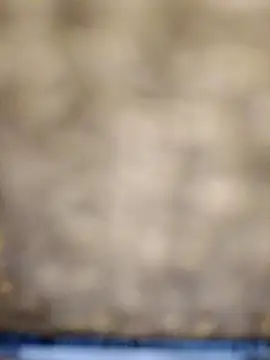 Snapshot of 618fuckupp chatting on October 2025 11:25:01 AM 618fuckupp online show from October 2025 11:25:01 AM