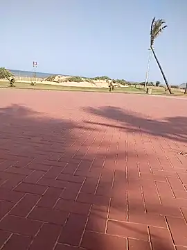 vhakhadzi online show from January 2025 01:38:02 PM