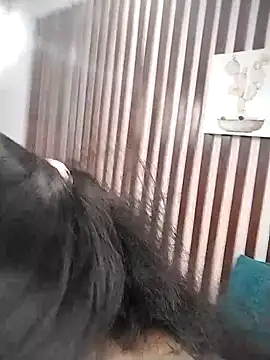 KRYSSTARITTER4 online show from March 2025 02:03:01 PM