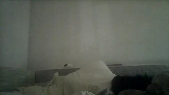 Snapshot of javierpasteur69 chatting on March 2025 12:48:01 AM javierpasteur69 online show from March 2025 12:48:01 AM