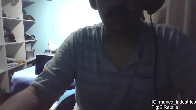 Elrep tile online show from February 2026 01:53:02 AM