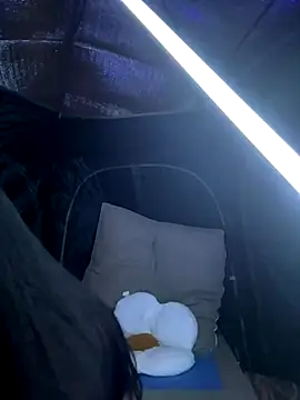 csck2025 online show from November 2025 12:08:02 PM