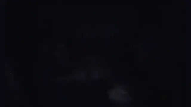 Snapshot of ParaFox chatting on September 2025 08:30:02 PM ParaFox online show from September 2025 08:30:02 PM