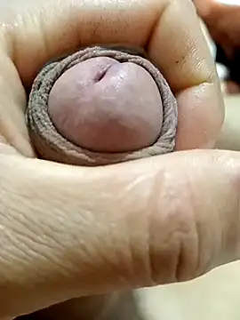 mmarvis za78 93 21cm online show from February 2025 03:24:01 AM