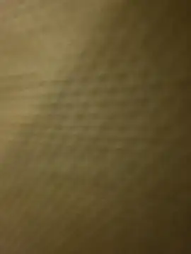 Siempre-locos69 online show from November 2025 02:57:02 AM