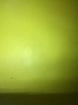 triplebeast online show from February 2025 02:59:02 AM