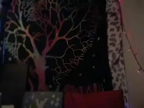 badboy366 online show from February 2026 12:04:02 AM