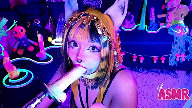 LaytonBox online show from November 2025 02:26:01 PM