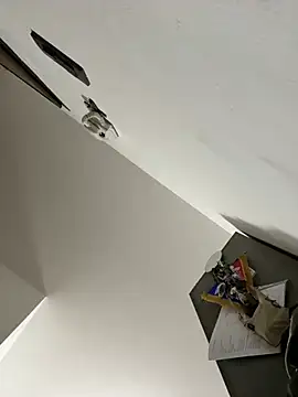 ilmaestoso online show from February 2025 07:23:01 AM