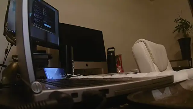 MrDaddyBbSnake online show from April 2026 02:03:01 AM