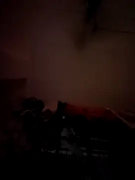 Snapshot of opkiller901 chatting on January 2025 10:01:02 PM opkiller901 online show from January 2025 10:01:02 PM