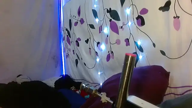 Snapshot of kattislut77 chatting on February 2026 07:50:02 PM kattislut77 online show from February 2026 07:50:02 PM