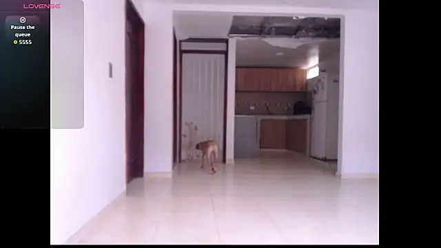 leslycarsson online show from October 2025 07:11:02 PM