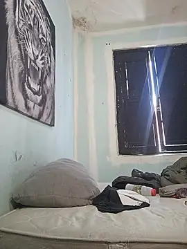 dany hardy online show from February 2026 05:55:01 PM