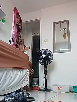 Munnoki online show from April 2026 09:29:02 AM